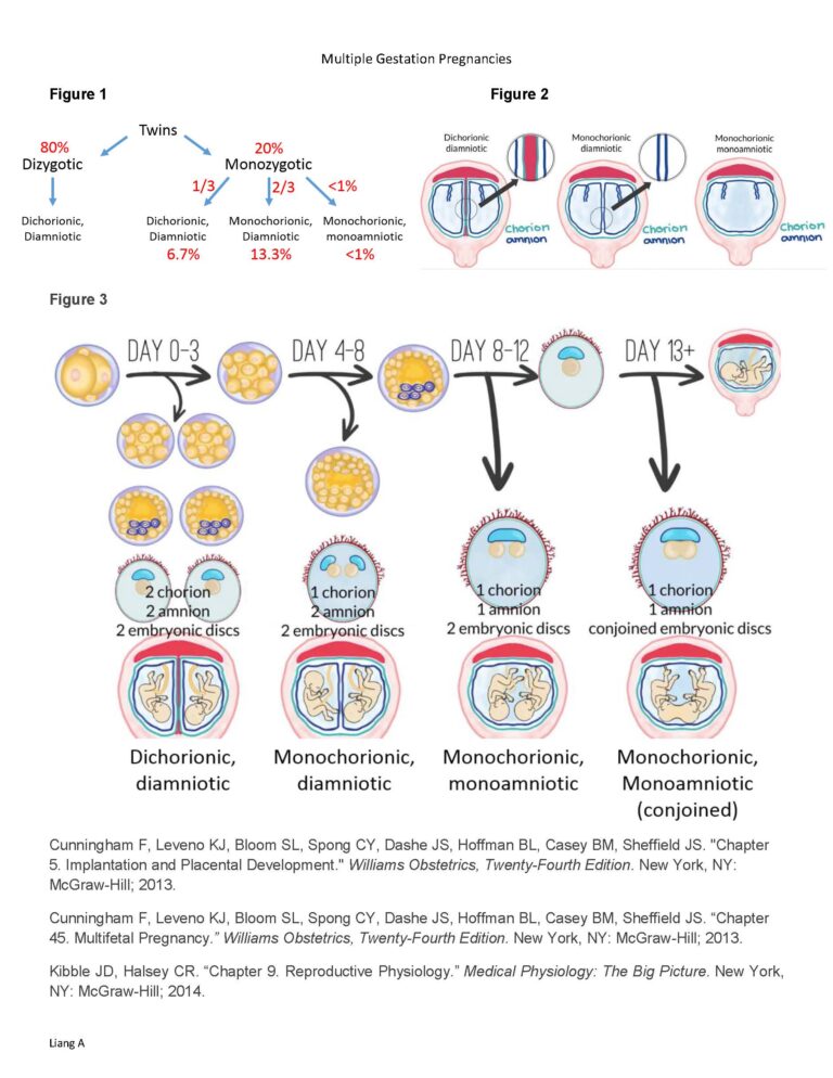 Multiple Gestation Pregnancies – 21st Century Medical Education
